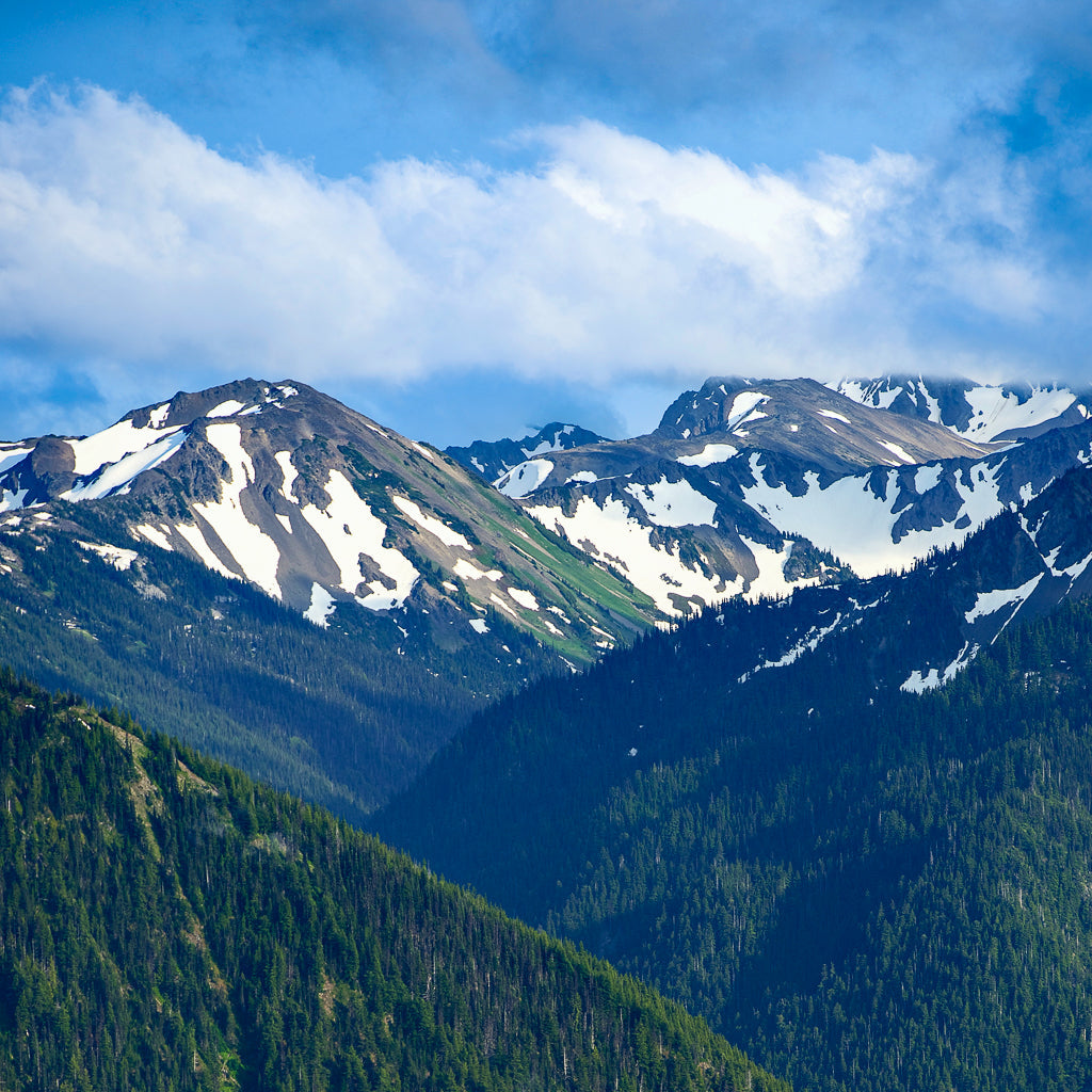 The High Peaks: The Full Ascent