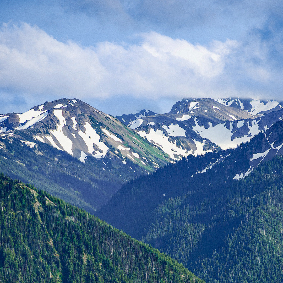 Timber: Old Growth & High Peaks