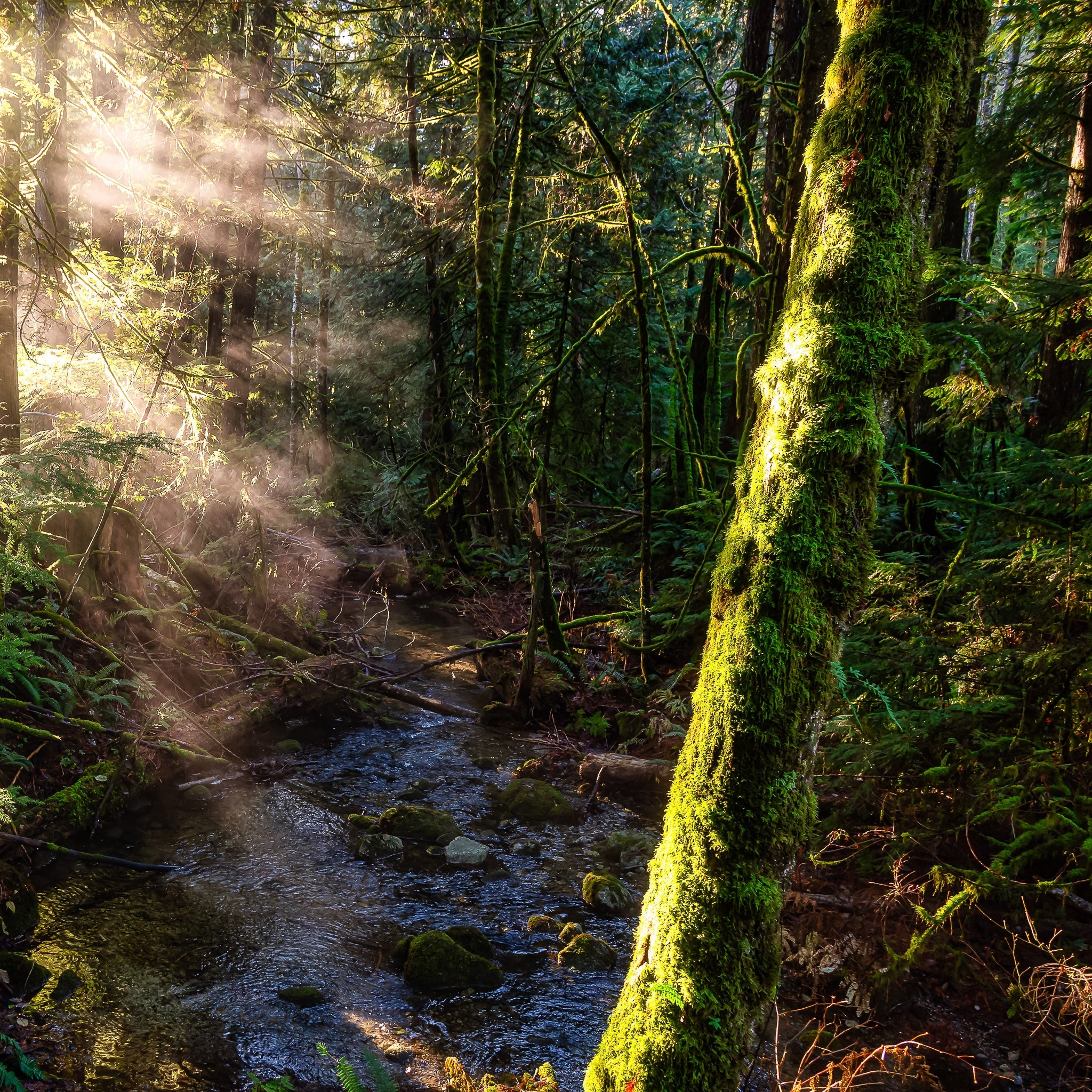 Twilight: Legends & Lore