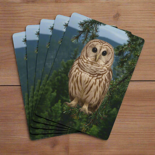 WHO’s Holding? Owl & Cedars Playing Cards – 52+2 Joker Deck (Mystic Peninsula Design)