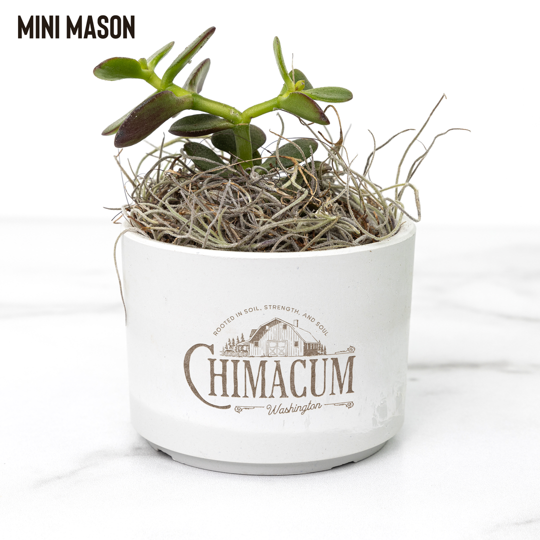 Desk_Plant_-_Chimacum_Mason_Mockup_Mockup.png