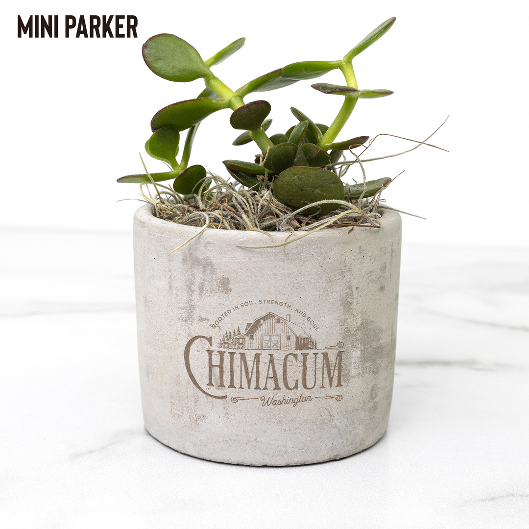 Desk_Plant_-_Chimacum_Parker_Mockup_Mockup.png