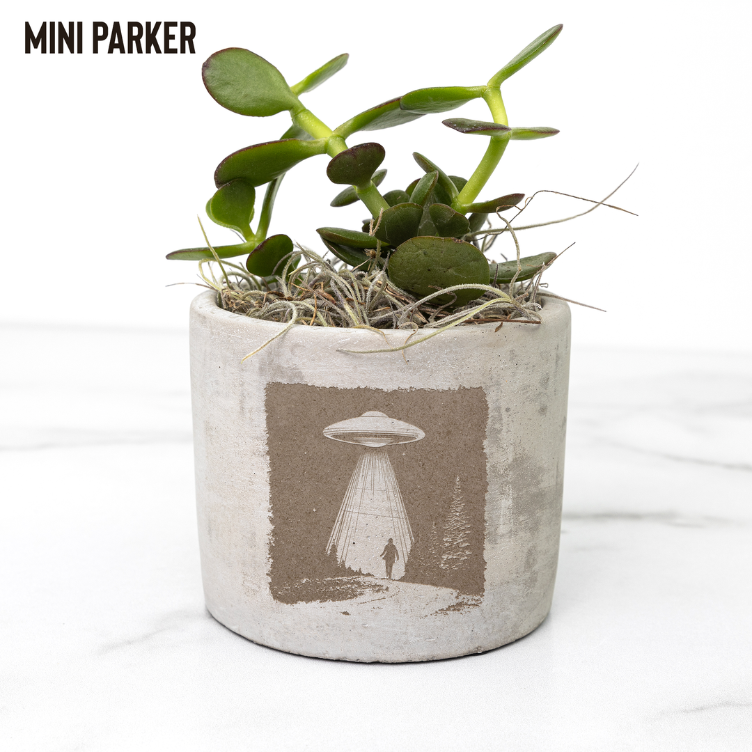 Desk_Plant_-_Extraterrestrial_Visitors_Parker_Mockup_Mockup.png