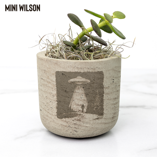 Desk_Plant_-_Extraterrestrial_Visitors_Wilson_Mockup_Mockup.png