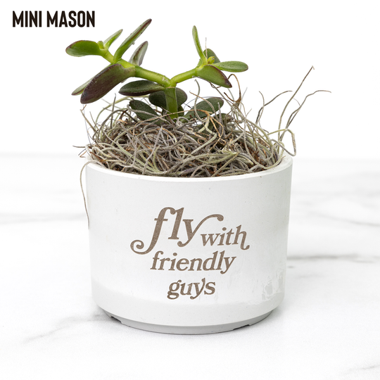 Desk_Plant_-_Fly_with_Friendly_Guys_Mason_Mockup_Mockup.png