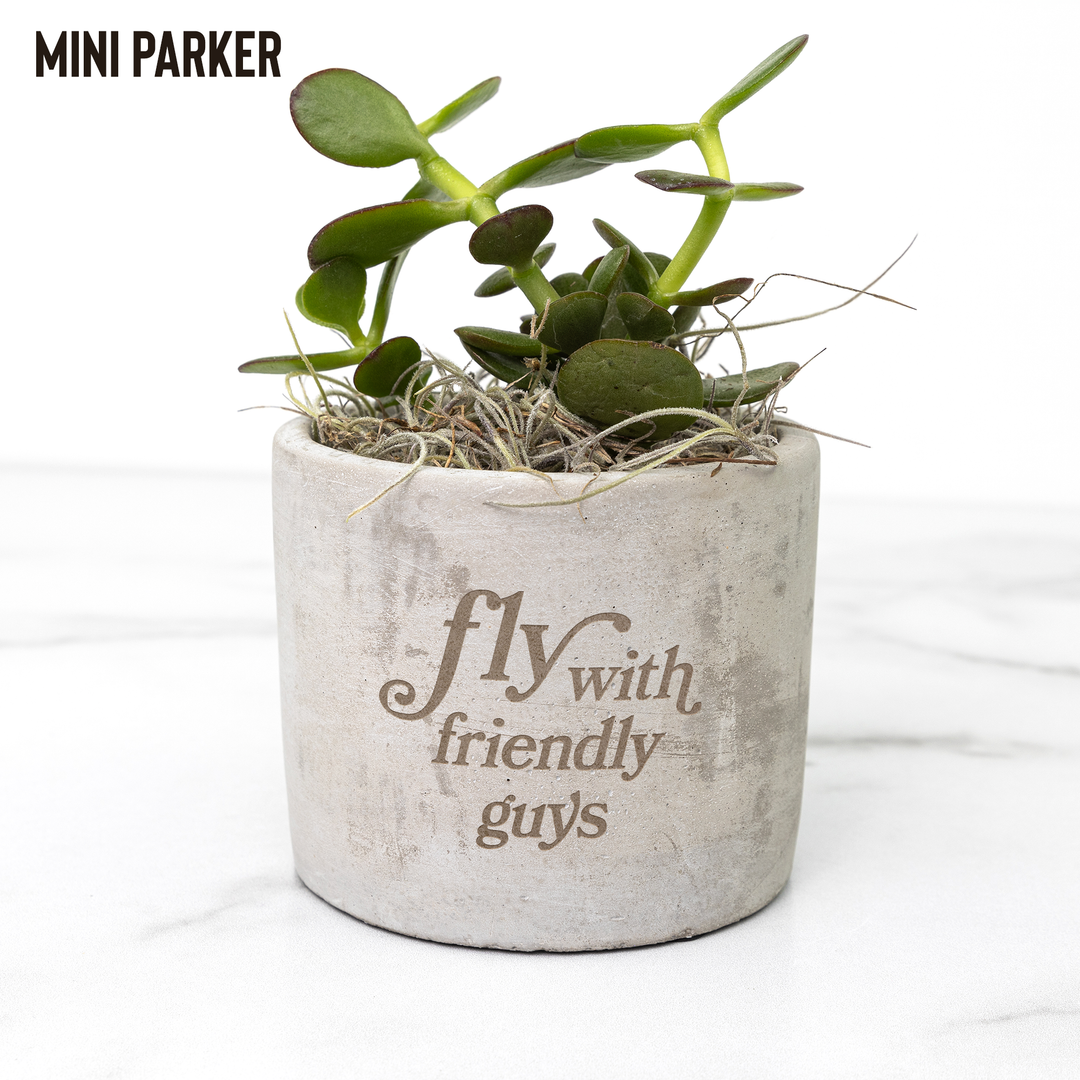 Desk_Plant_-_Fly_with_Friendly_Guys_Parker_Mockup_Mockup.png