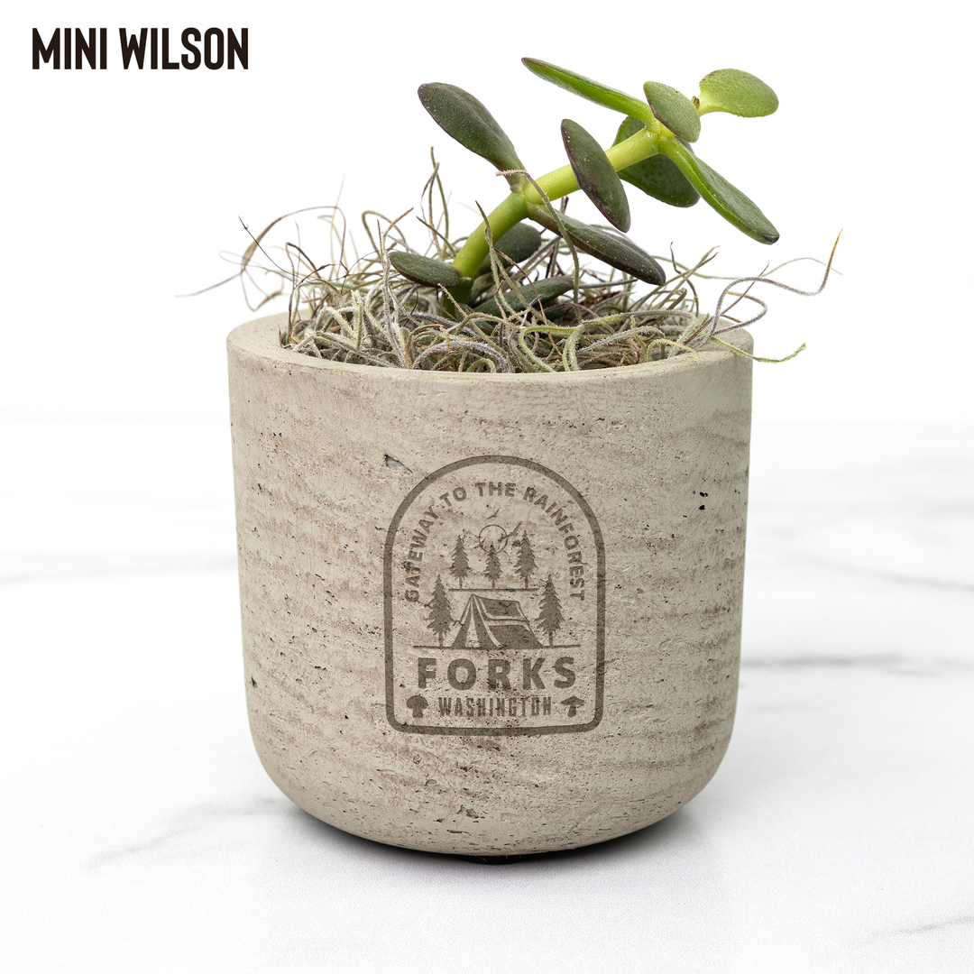 Desk_Plant_-_Forks_Wilson_Mockup_Mockup.png
