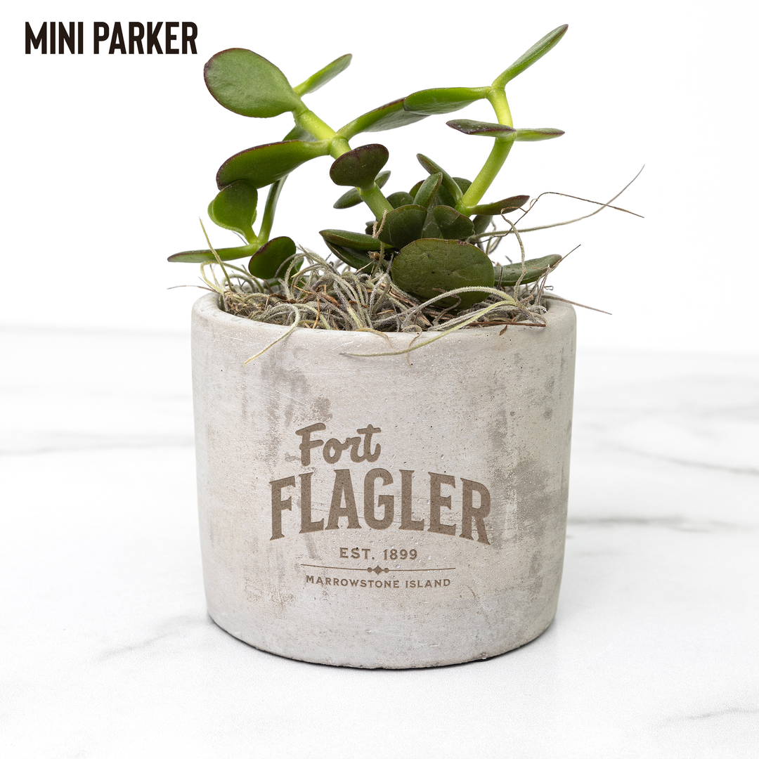 Desk_Plant_-_Fort_Flagler_Parker_Mockup_Mockup.png