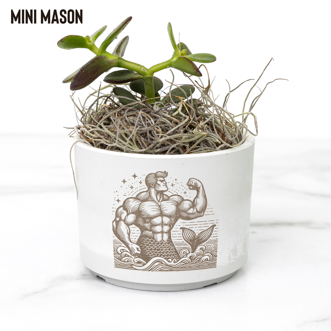 Desk_Plant_-_Merman_Mason_Mockup_Mockup.png