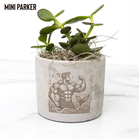 Desk_Plant_-_Merman_Parker_Mockup_Mockup.png
