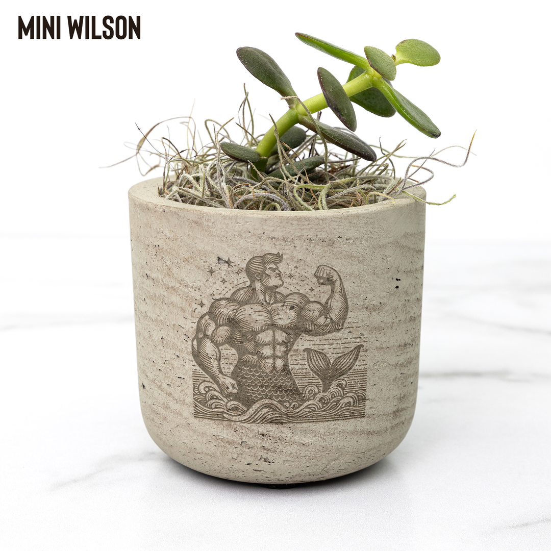 Desk_Plant_-_Merman_Wilson_Mockup_Mockup.png