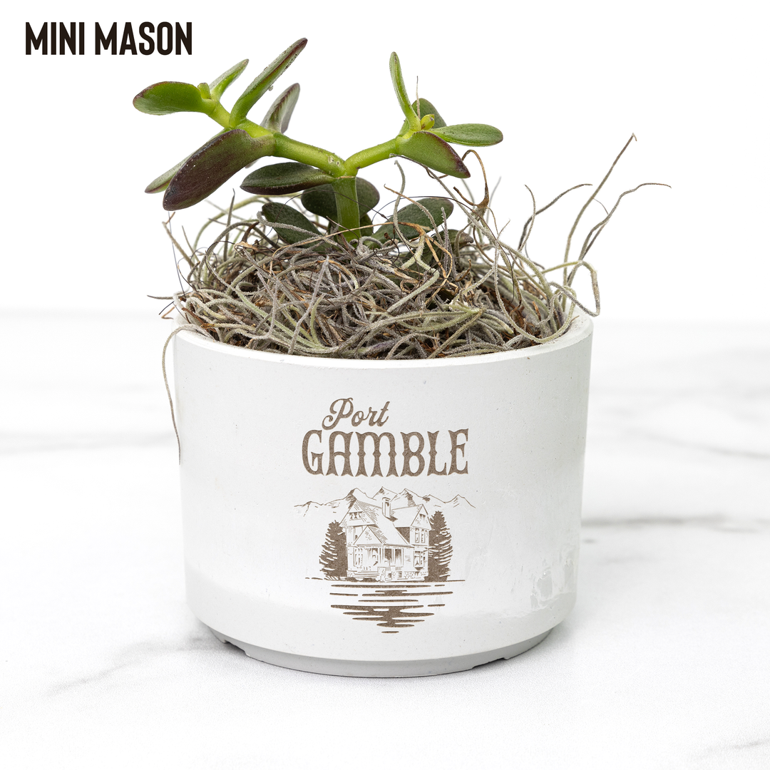Desk_Plant_-_Port_Gamble_Mason_Mockup_Mockup.png