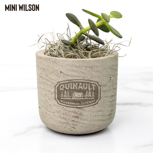 Desk_Plant_-_Quinault_Wilson_Mockup_Mockup.png