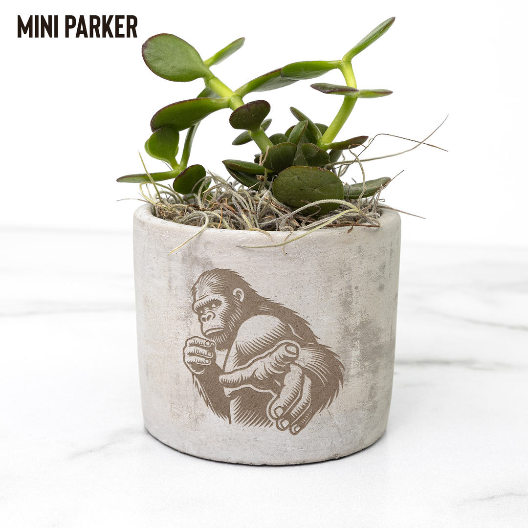 Desk_Plant_-_Sasquatch_Noticed_Me_Parker_Mockup_Mockup.png