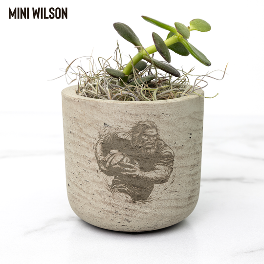 Desk_Plant_-_Sasquatch_Plays_Rugby_Wilson_Mockup_Mockup.png