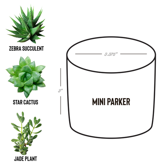Desk_Plant_-_Sequim_Parker_Spec_Mockup.png