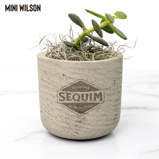 Desk_Plant_-_Sequim_Wilson_Mockup_Mockup.png
