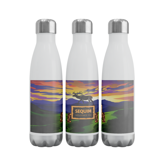 Welcome_to_Sequim_Water_Bottle__20oz__WaterBottle_3Bottles_Row_Mockup.png