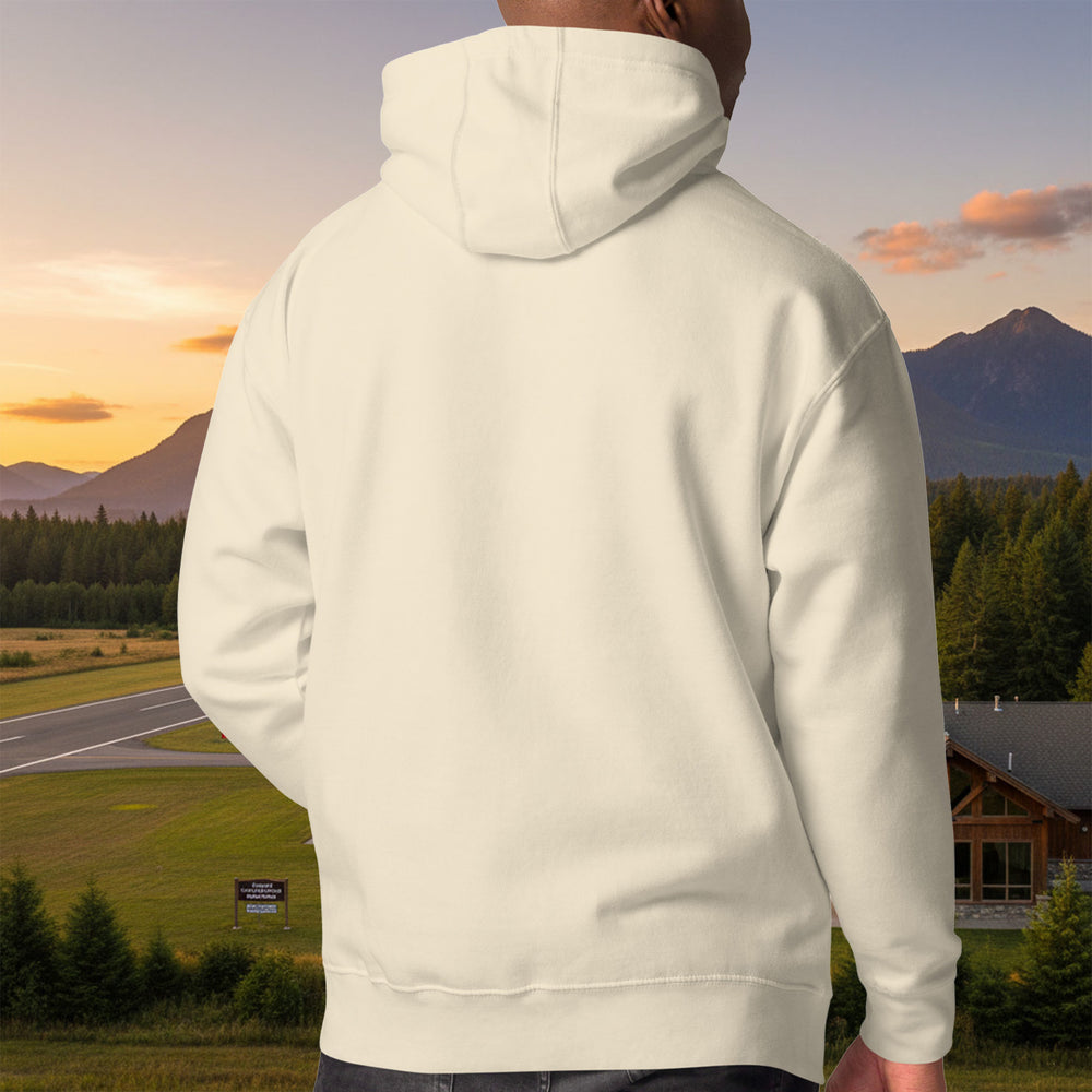 Fly With Friendly Guys Hoodie – Vintage Aviation Pullover (Heavyweight Cotton)