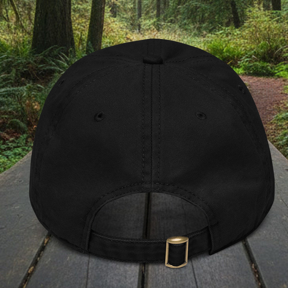 Earned View Washed Twill Cap