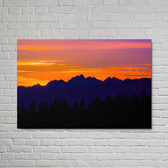 Violet Olympic Wilderness Wall Art - Glossy Metal Print