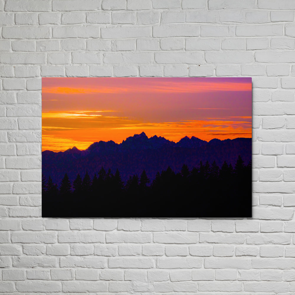 Violet Olympic Wilderness Wall Art - Glossy Metal Print