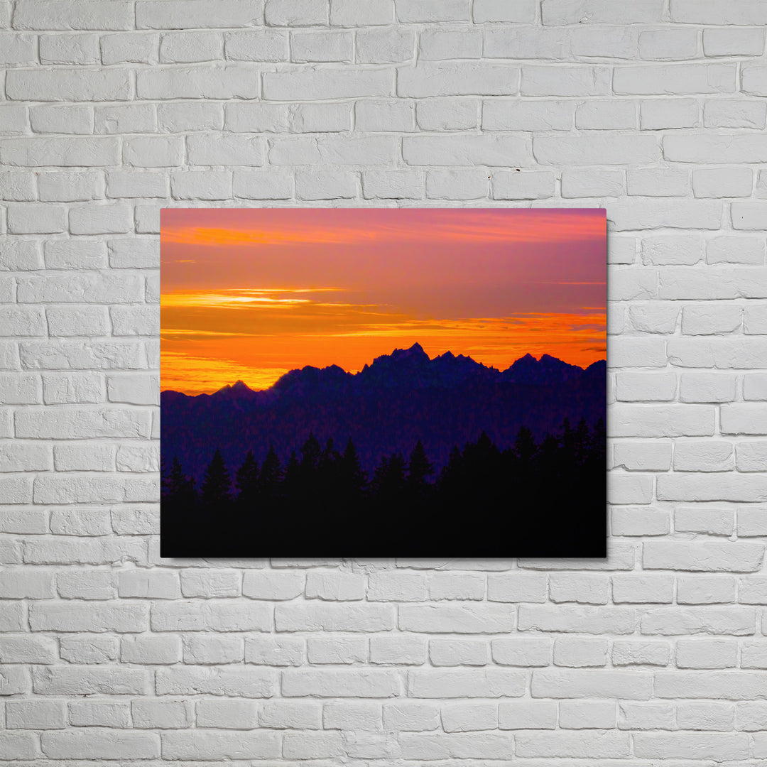 Violet Olympic Wilderness Wall Art - Glossy Metal Print